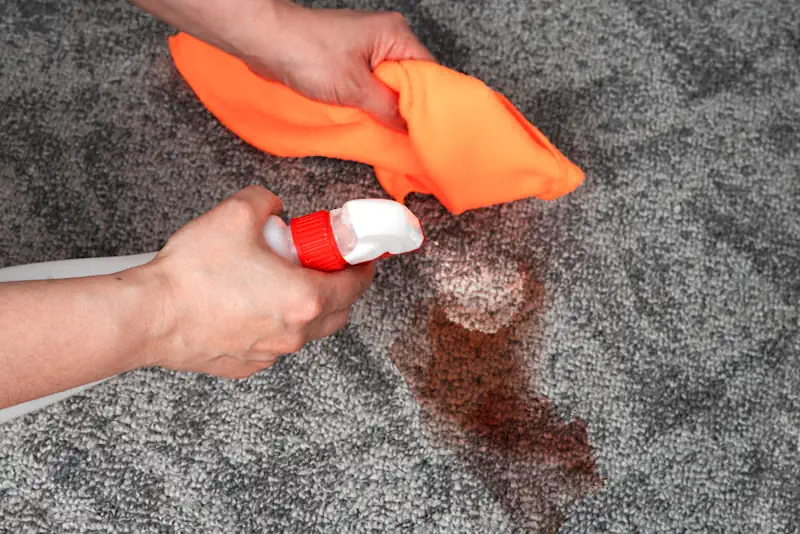 Can I bleach clean my carpet?
